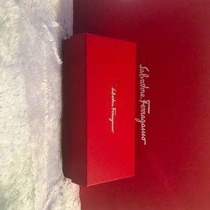 Salvatore Ferragamo sunglasses